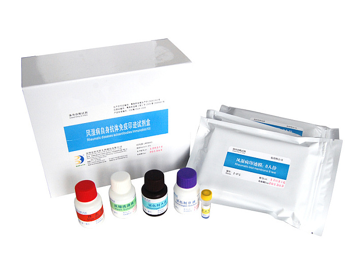 风湿病自身抗体检测试剂盒（斑点印迹法）